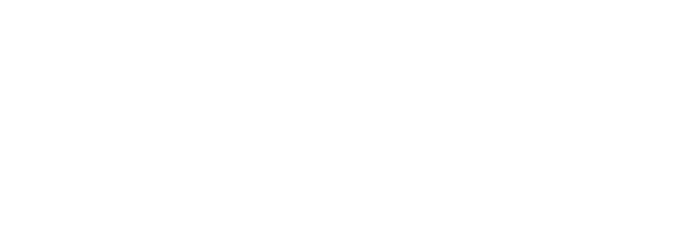 word press